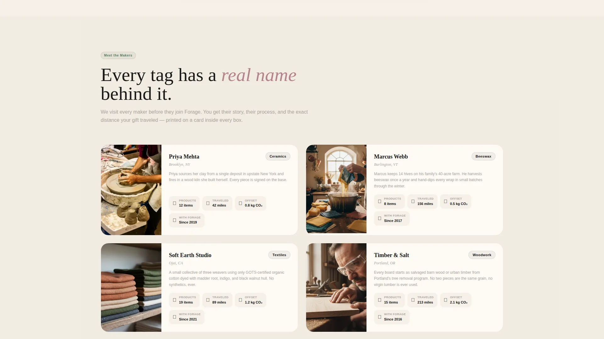 Eco-Friendly Business Specialist Blog Website Template