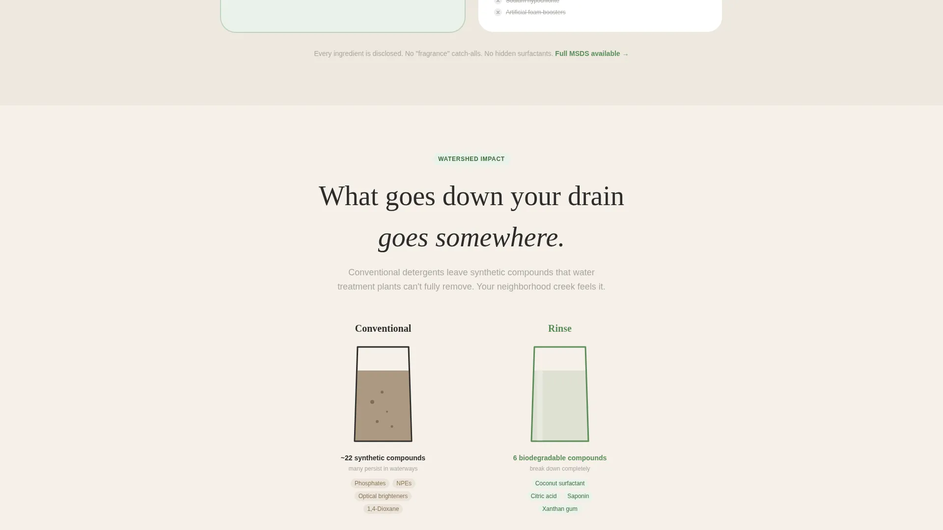 Eco-Friendly Business Advanced Booking Website Template