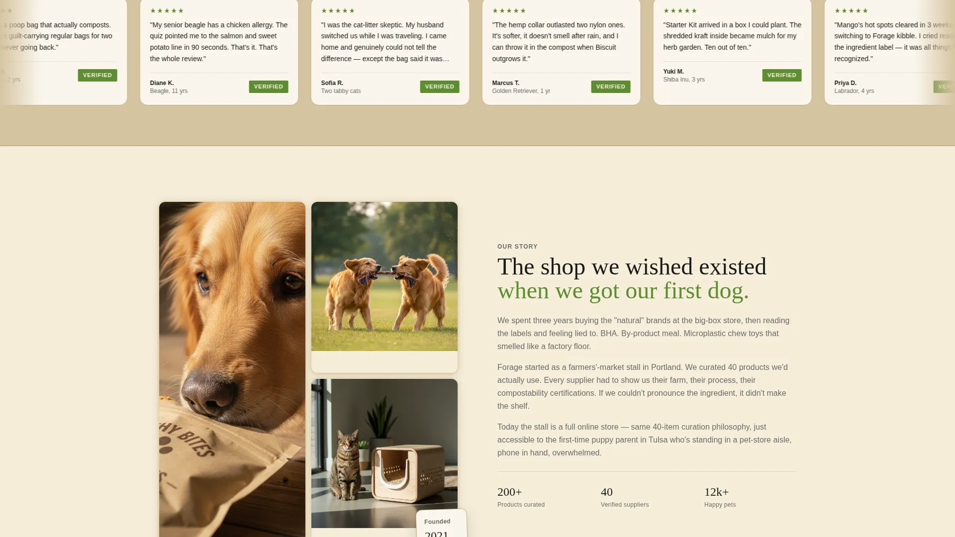 Eco-Friendly Business Specialist Professional Website Template