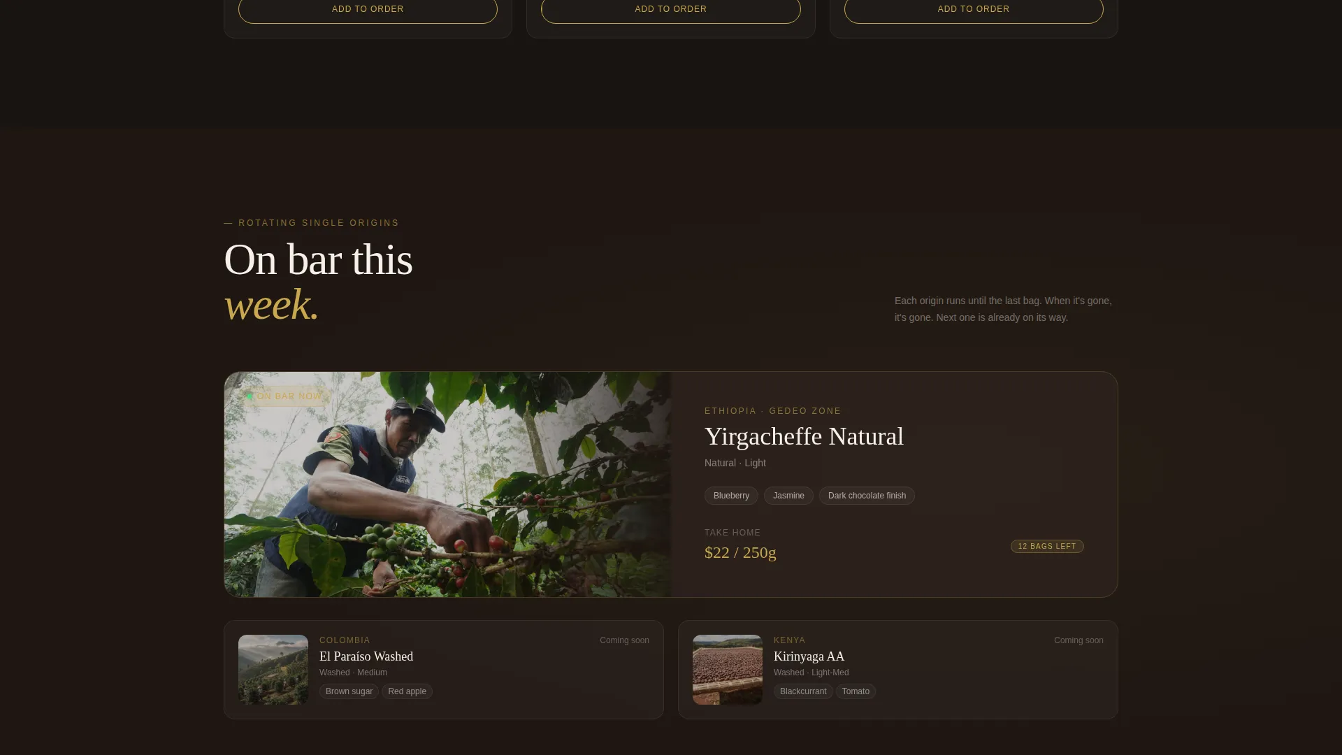 Express Business Specialist Professional Website Template