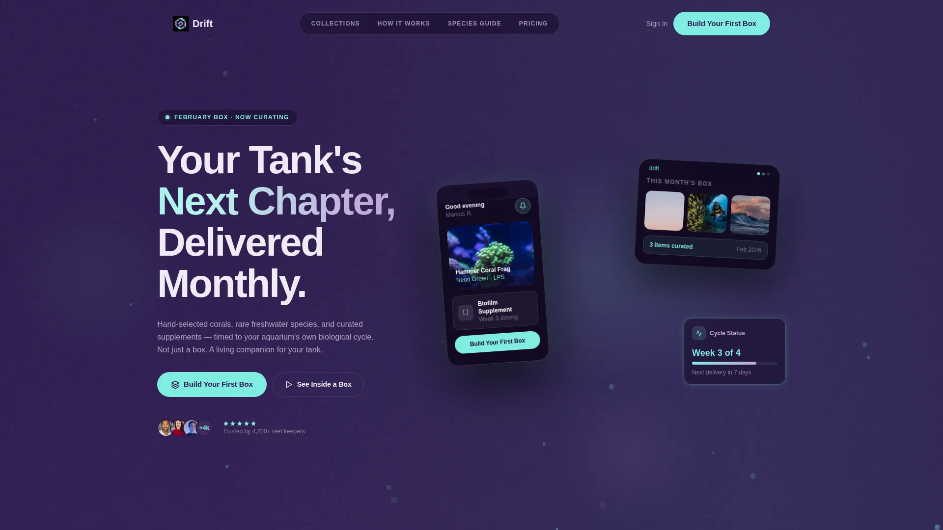 Subscription Box Specialist Professional Website Template