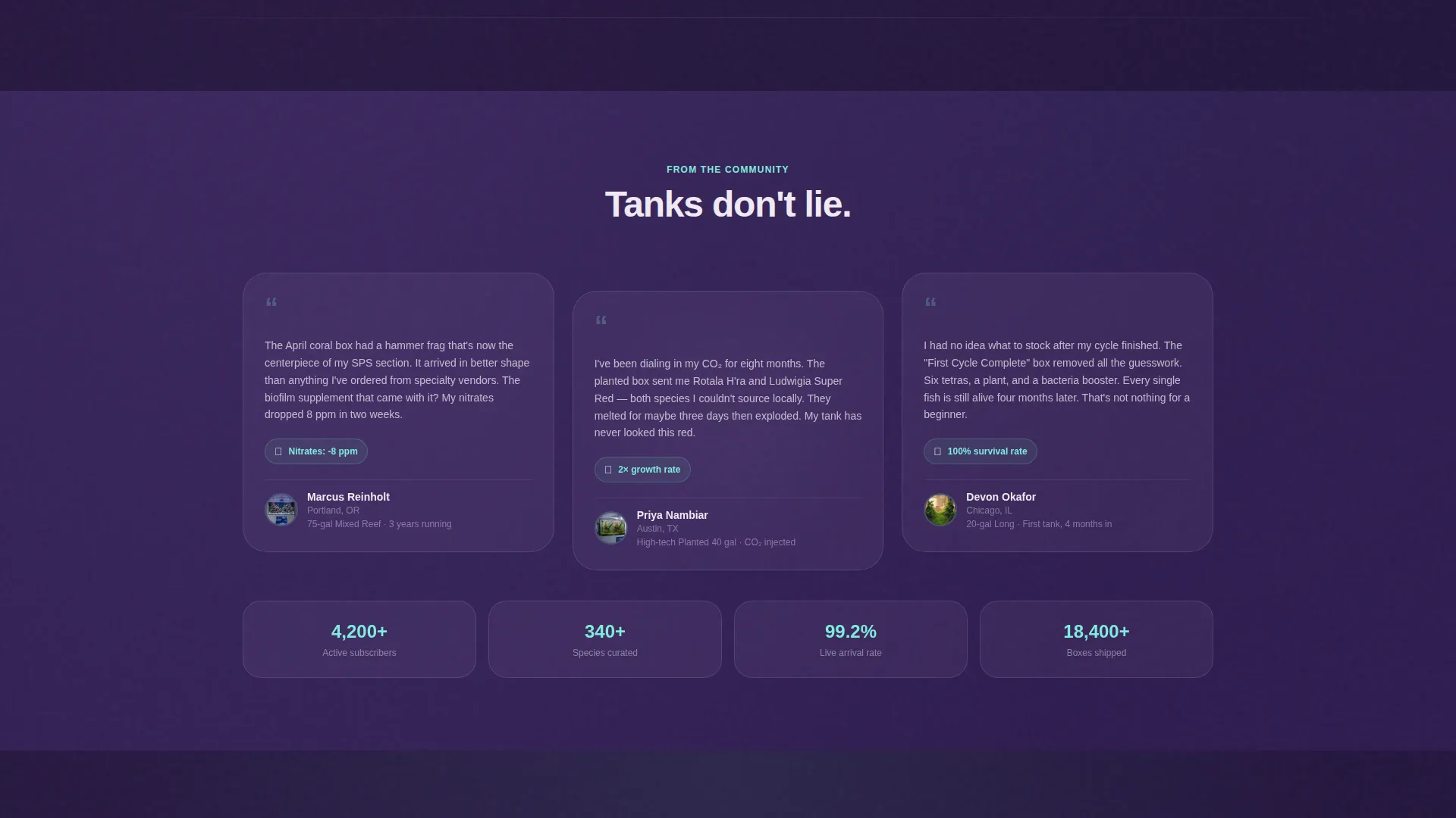 Subscription Box Specialist Professional Website Template