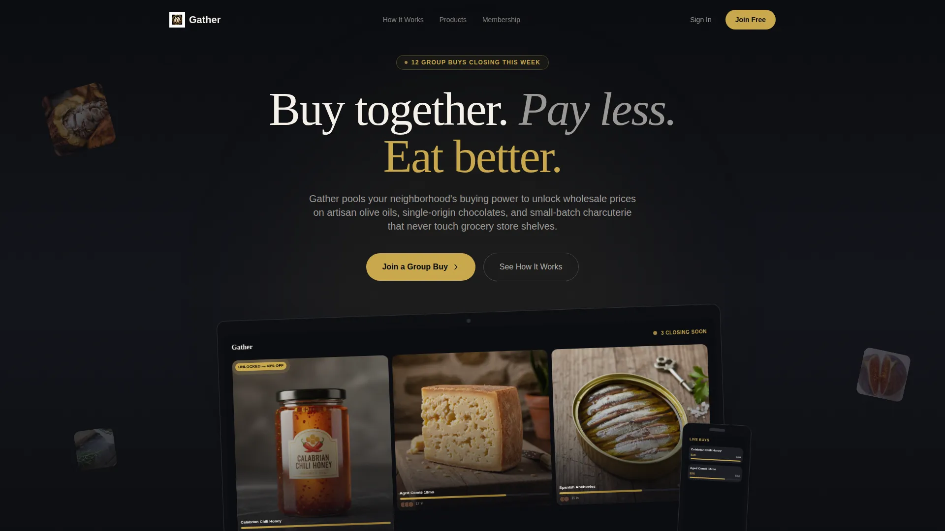 Premium & Landing Page Template