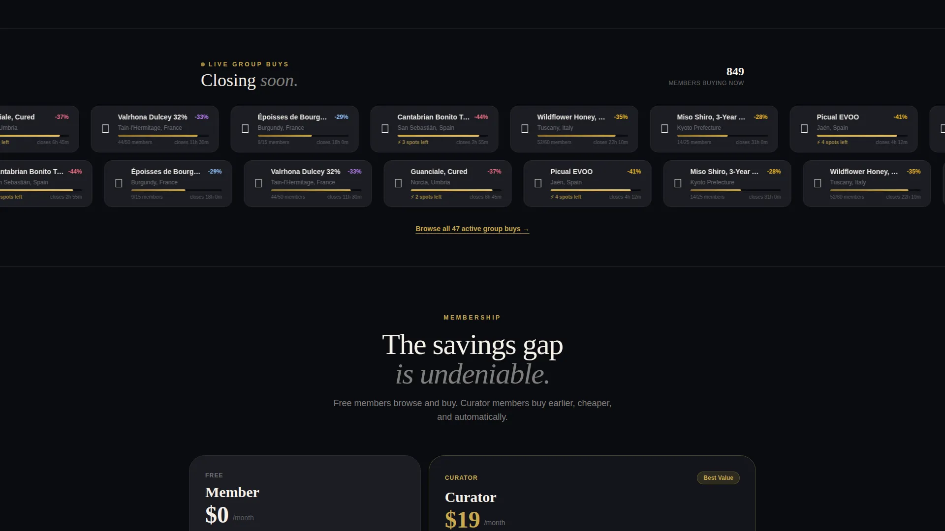 Premium & Landing Page Template