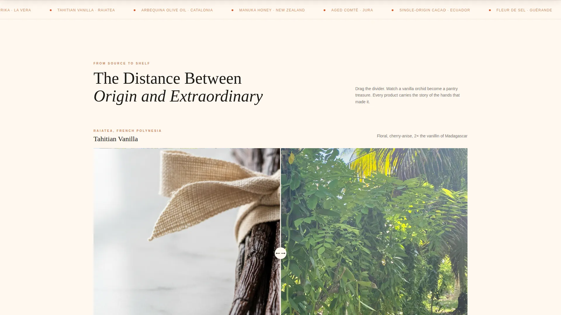 Luxury Gourmet Food & Gift Landing Page Template