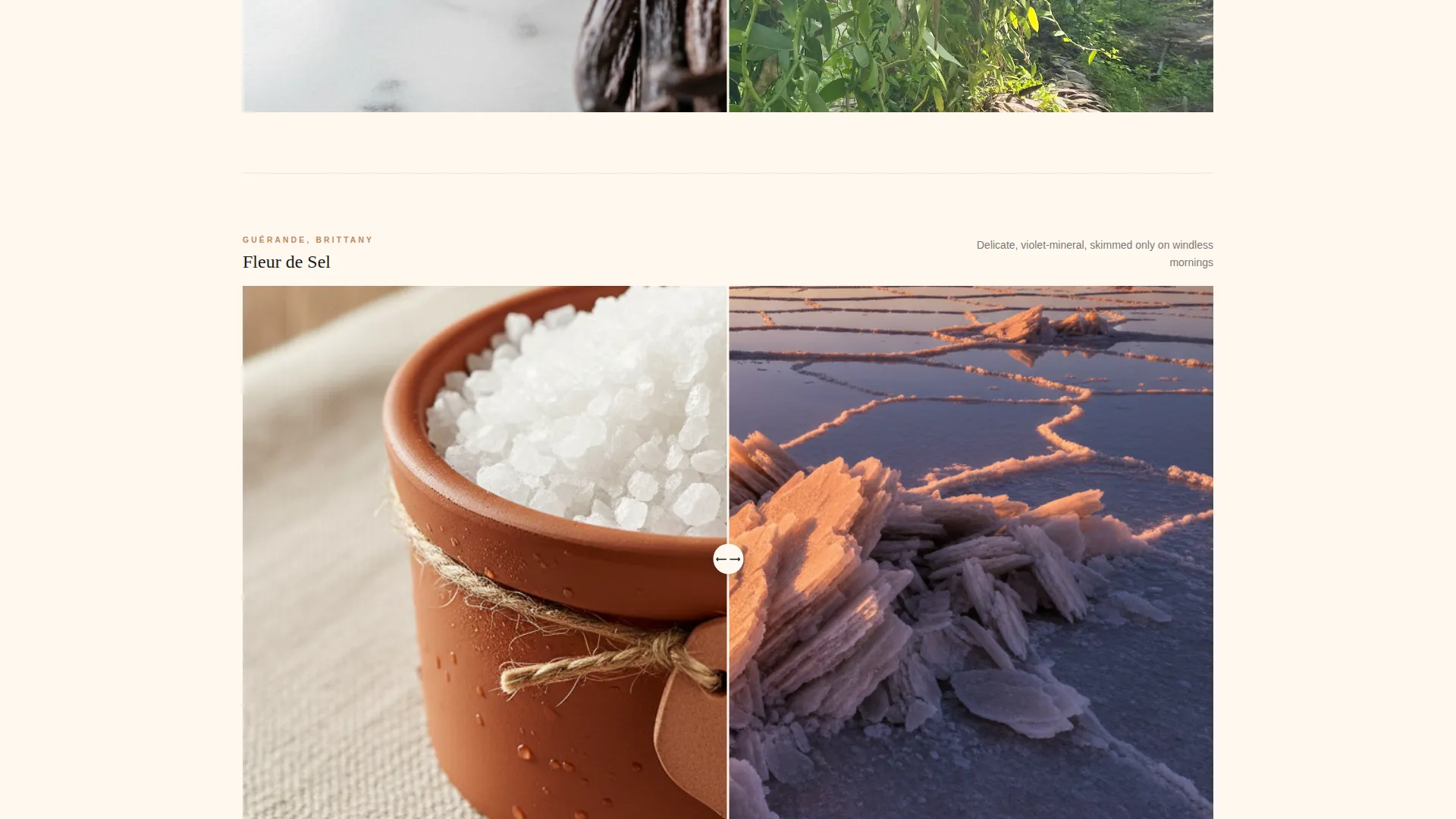 Luxury Gourmet Food & Gift Landing Page Template