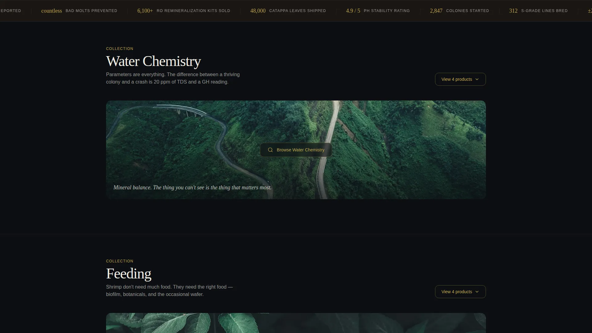 Certified Hobby & Passion Supplies Portfolio & Case Study Website Template