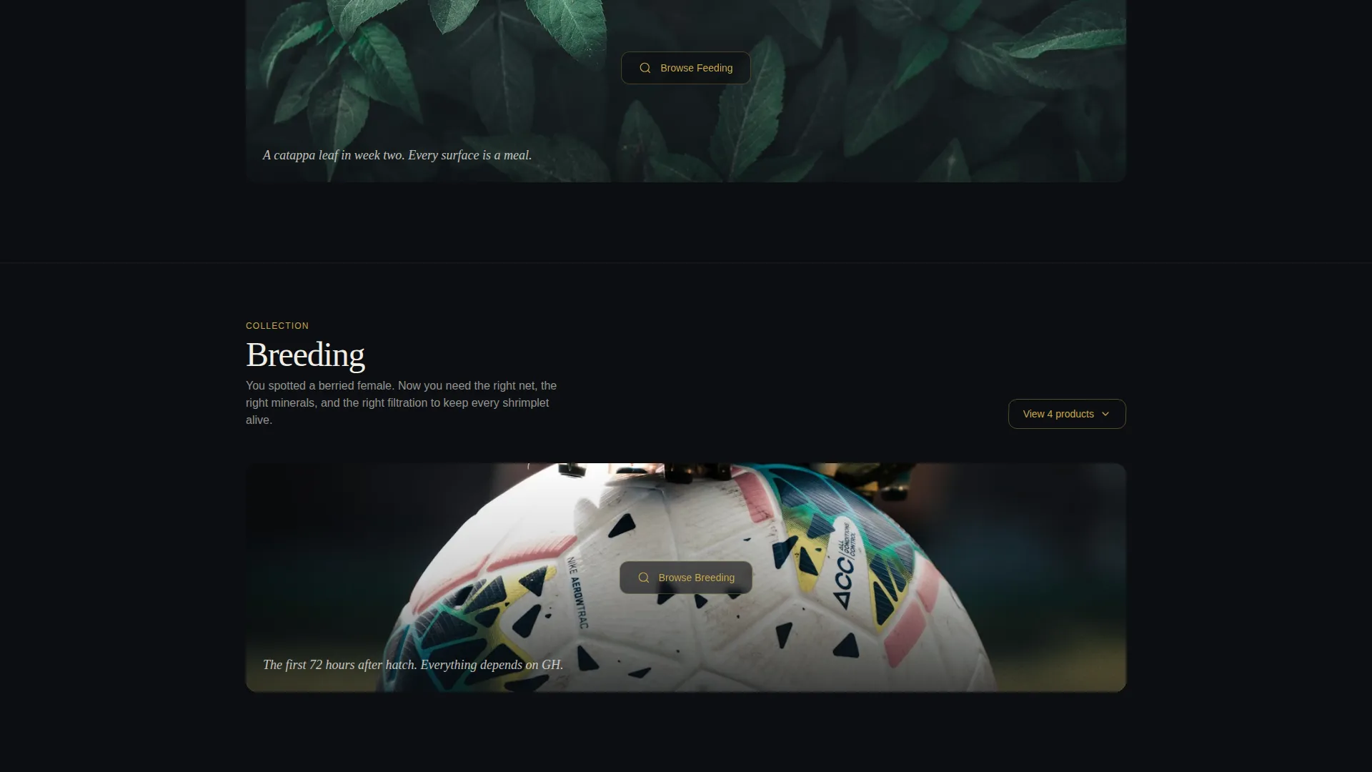 Certified Hobby & Passion Supplies Portfolio & Case Study Website Template