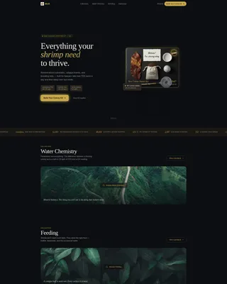 Certified Hobby & Passion Supplies Portfolio & Case Study Website Template