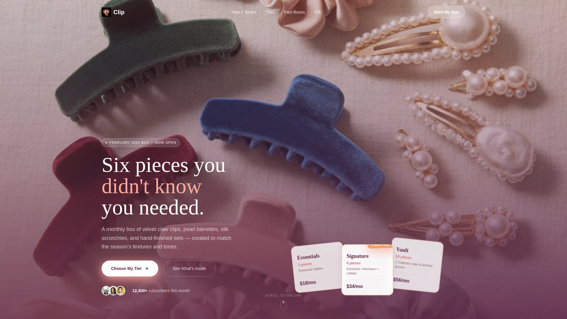 Hair Accessories Subscription Box Landing Page Template