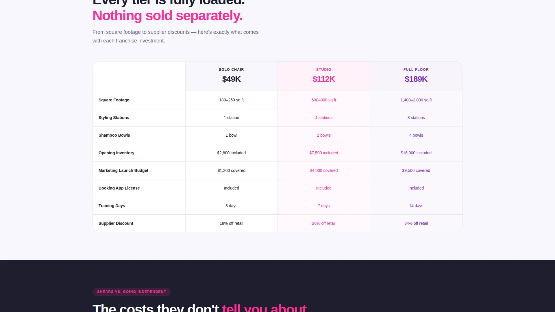 Franchise Business Pricing Website Template