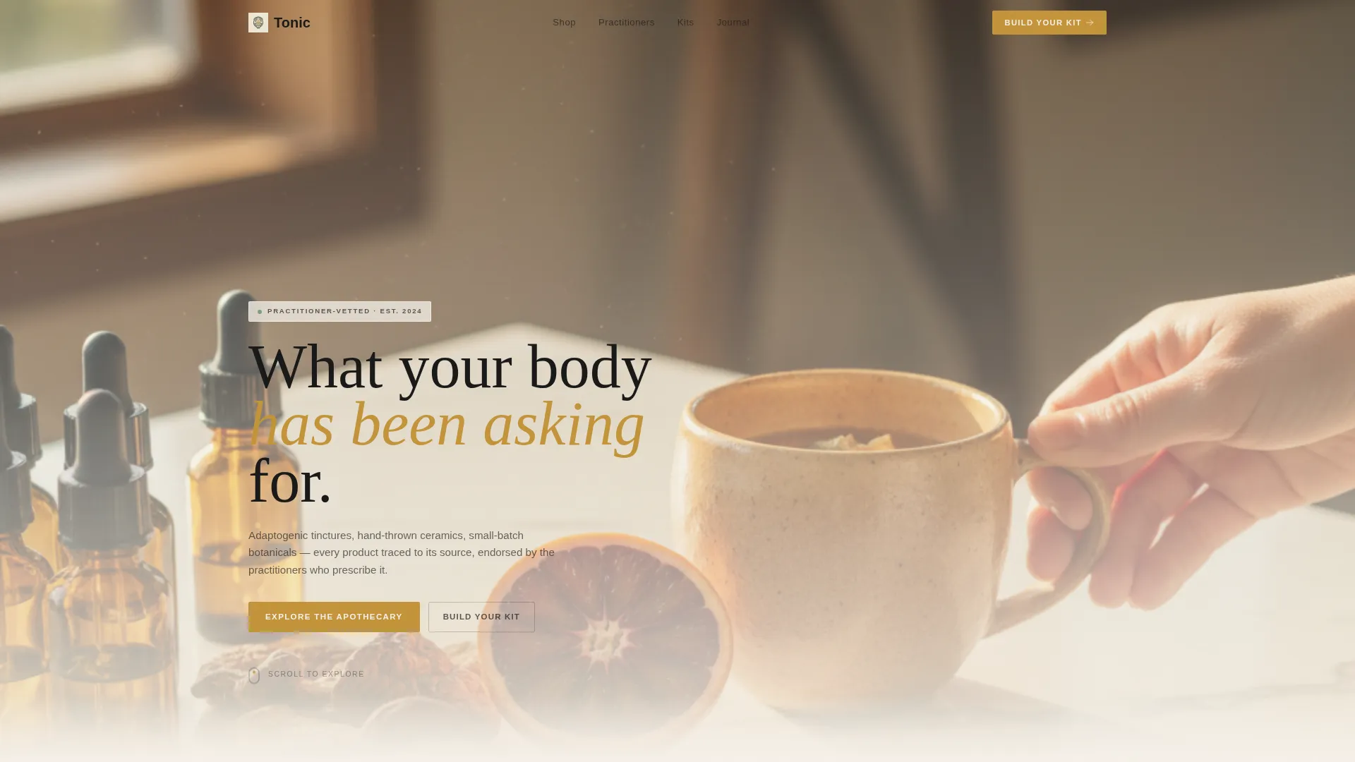 Health & Wellness Marketplace Landing Page Template