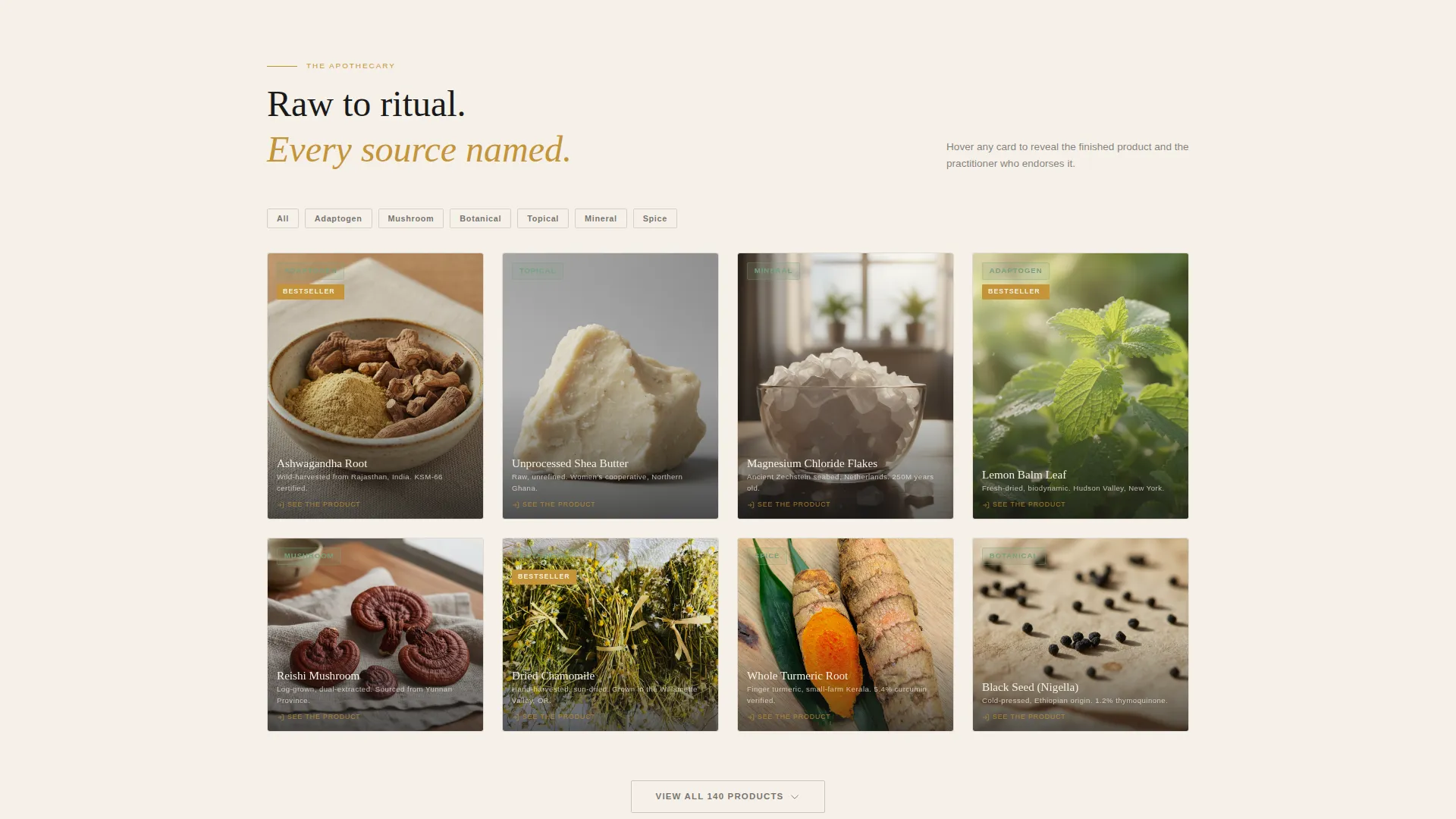 Health & Wellness Marketplace Landing Page Template
