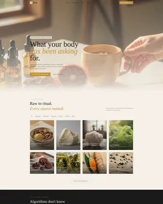 Health & Wellness Marketplace Landing Page Template