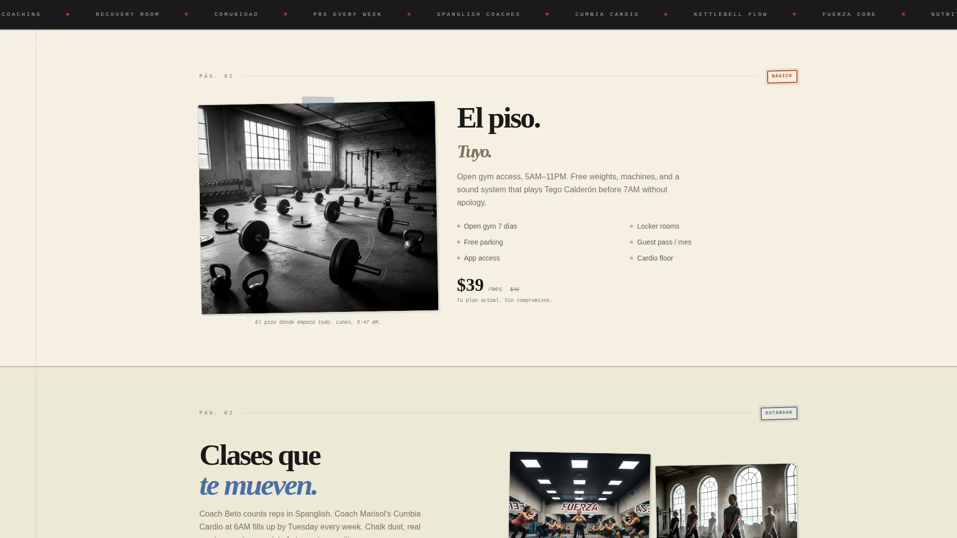 Hispanic-Owned Business Specialist Professional Website Template