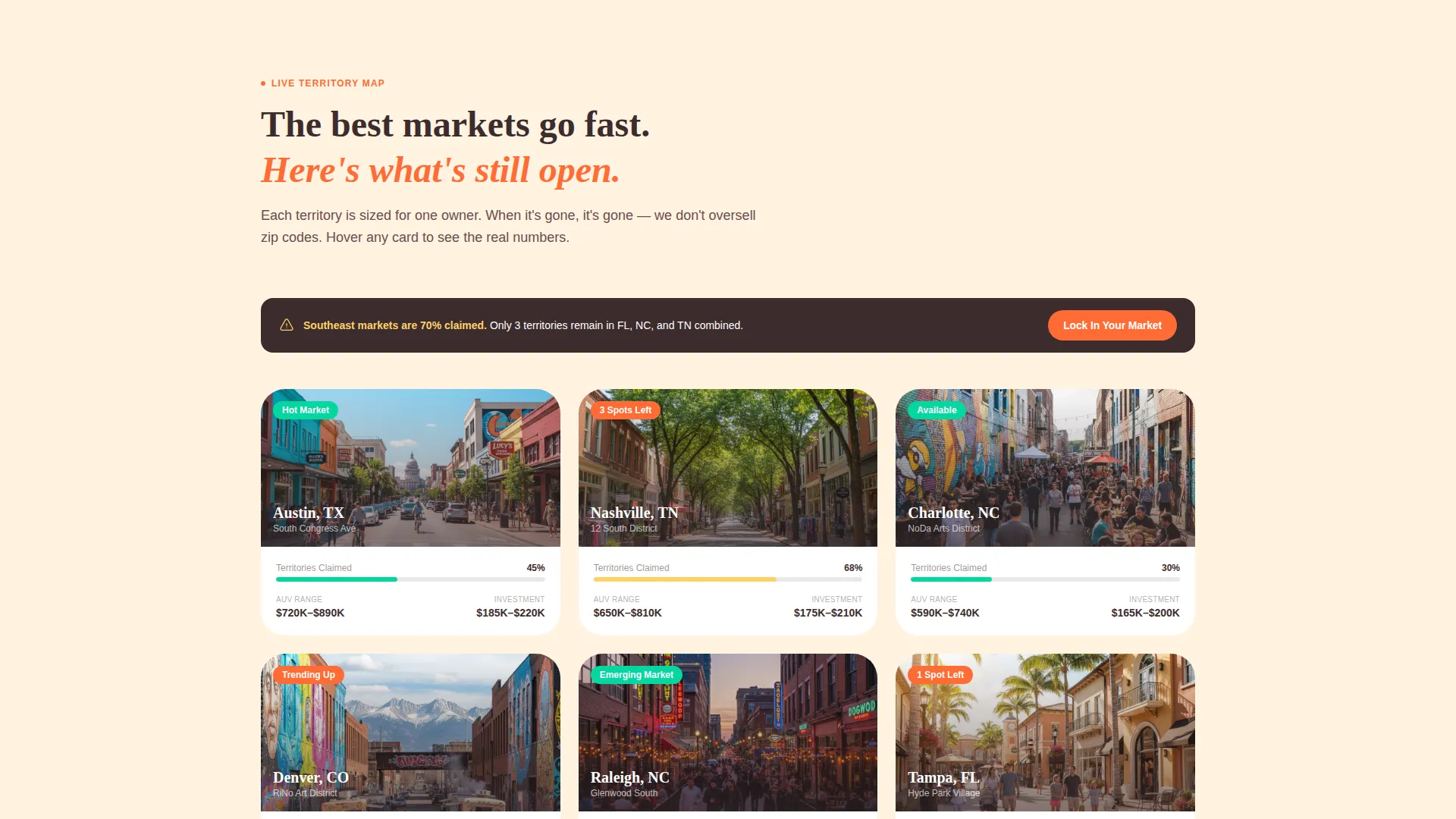 Frozen Yogurt Franchise Landing Page Template
