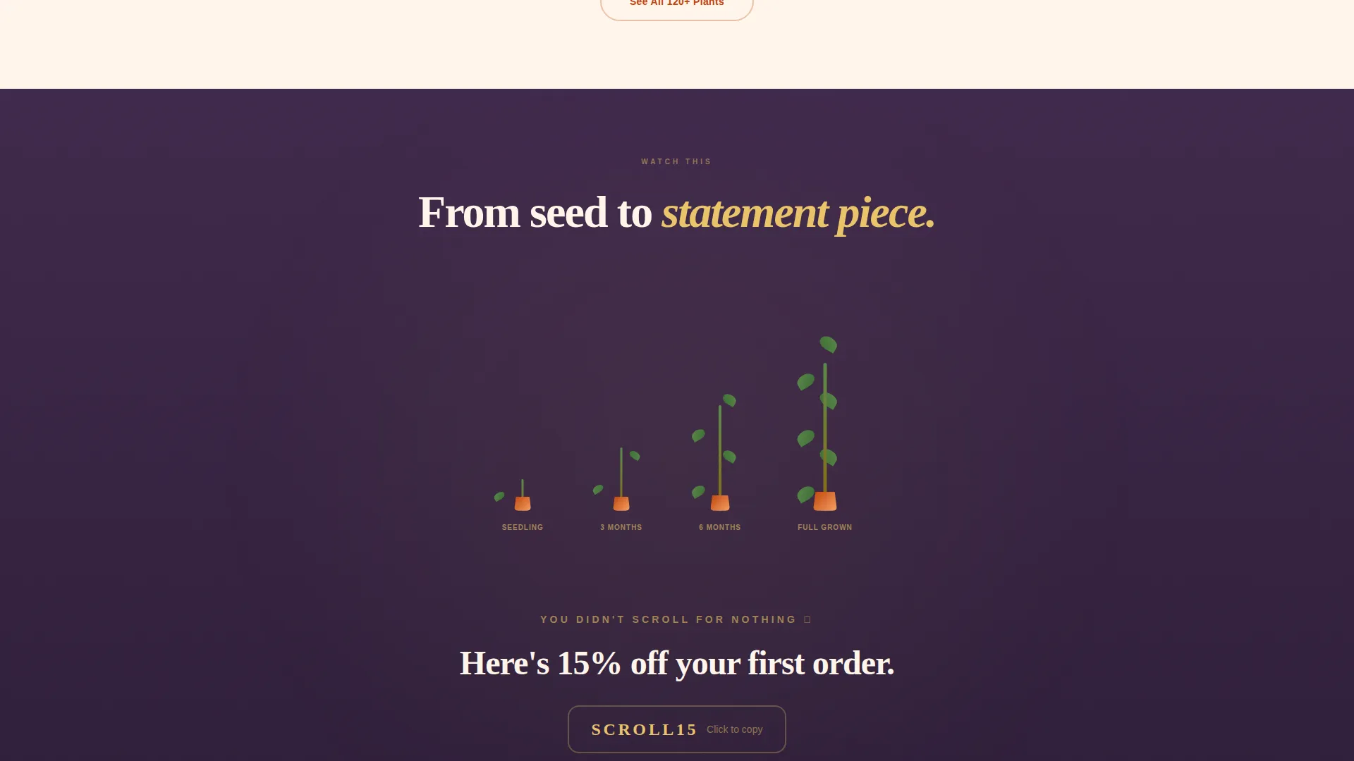 Florist & Plant Shop Professional Website Template