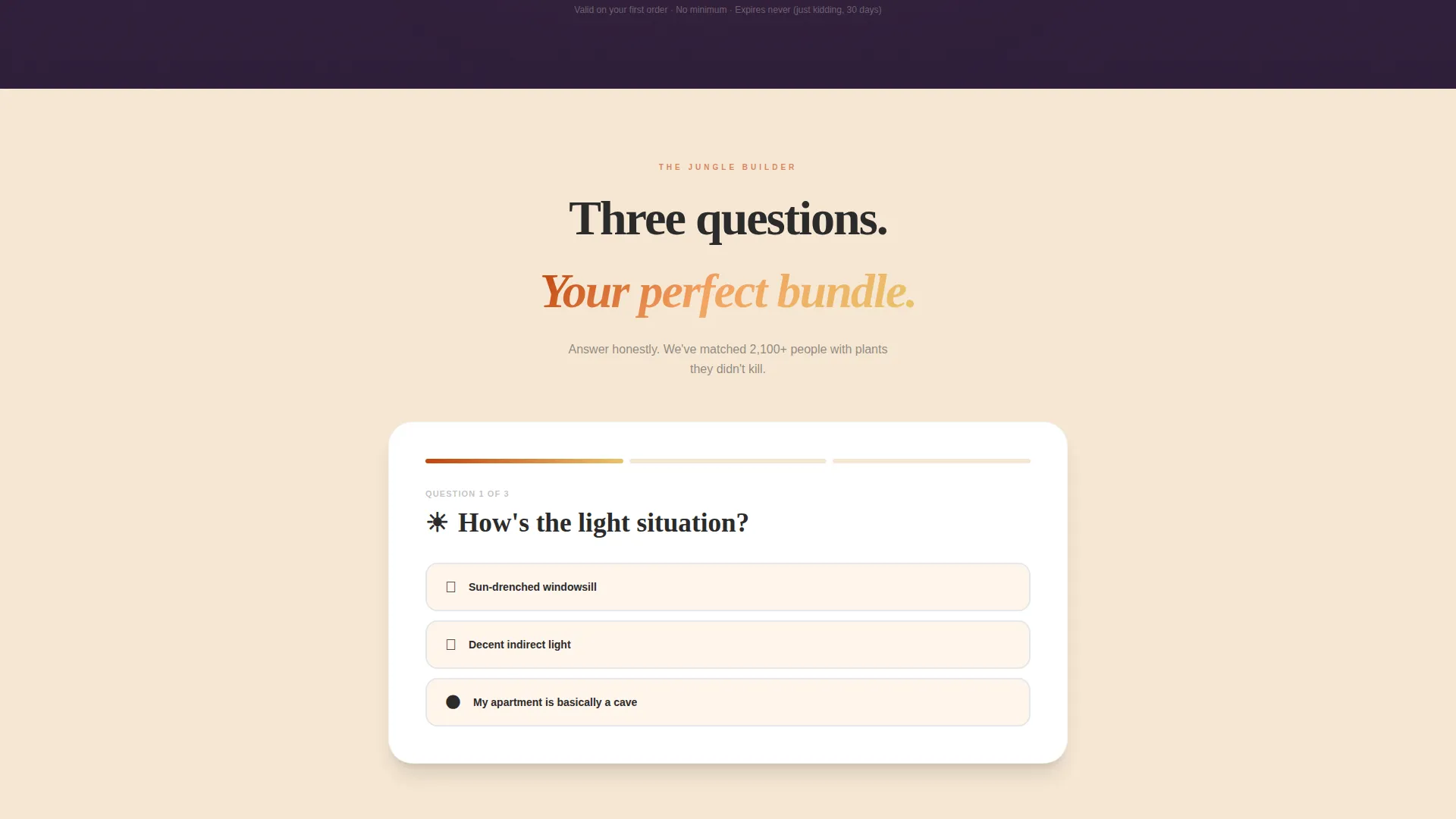 Florist & Plant Shop Professional Website Template