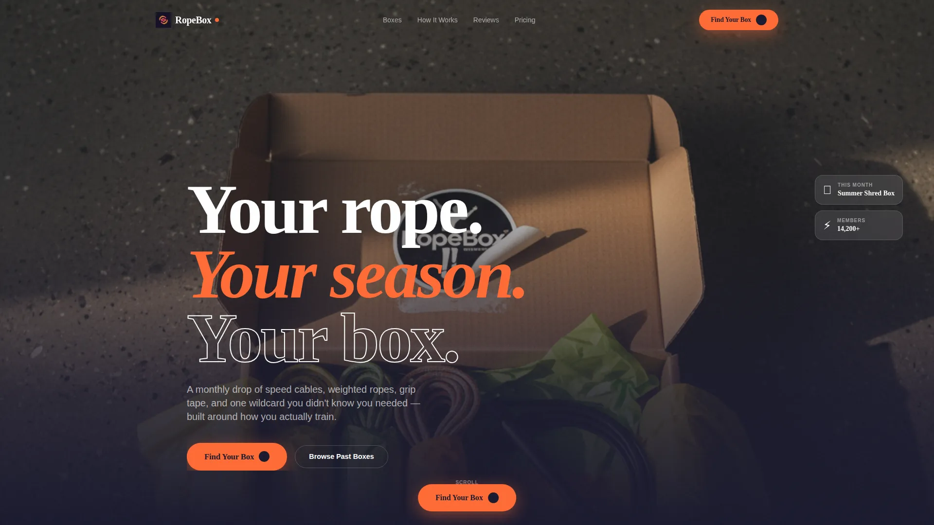 Bold Fitness Subscription Box Landing Page Template