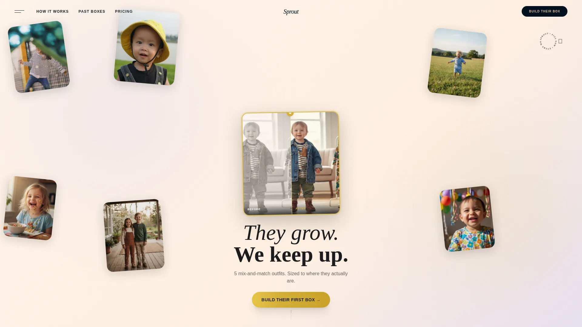 Subscription Box Services Professional Website Template