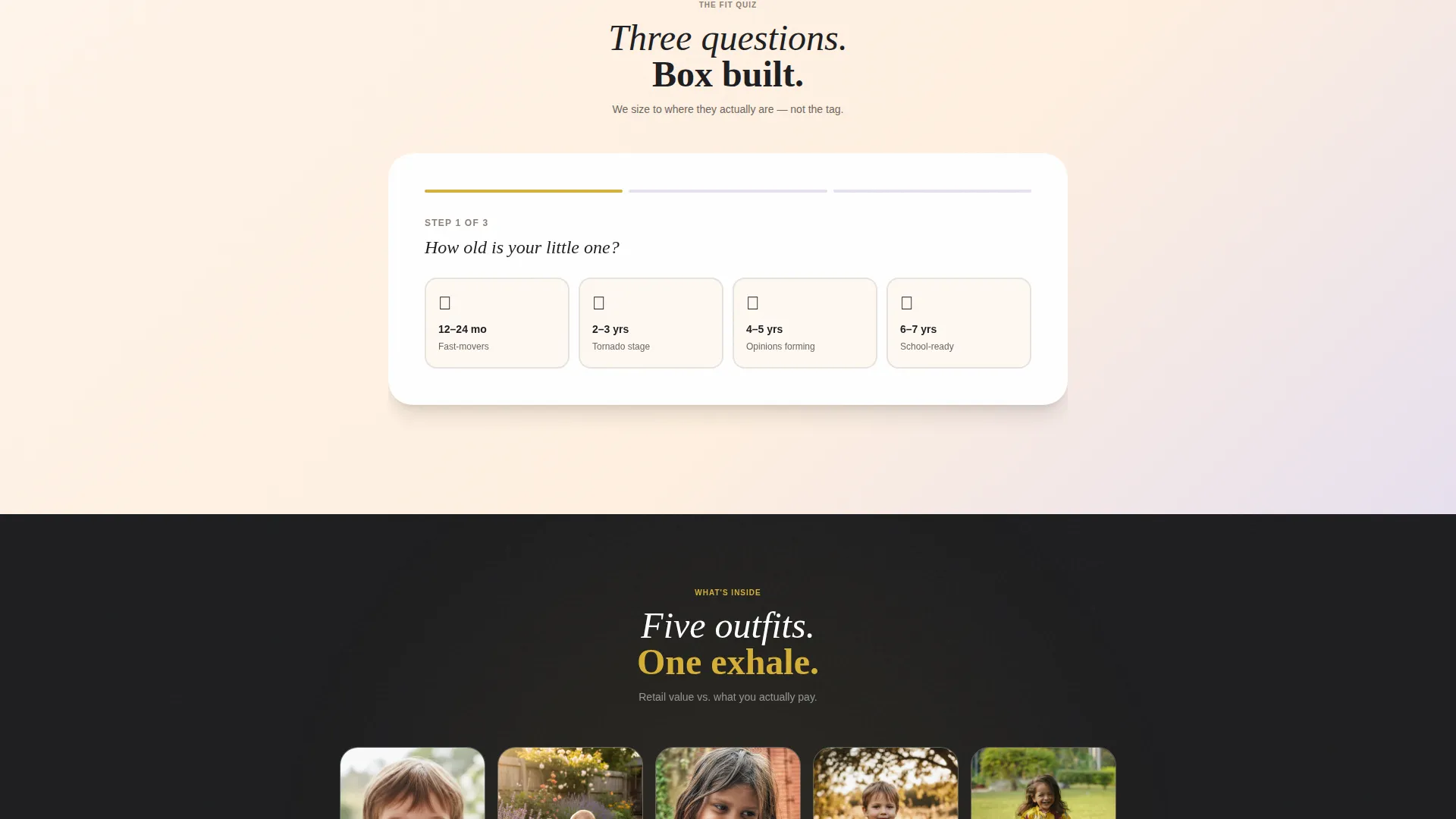 Subscription Box Services Professional Website Template