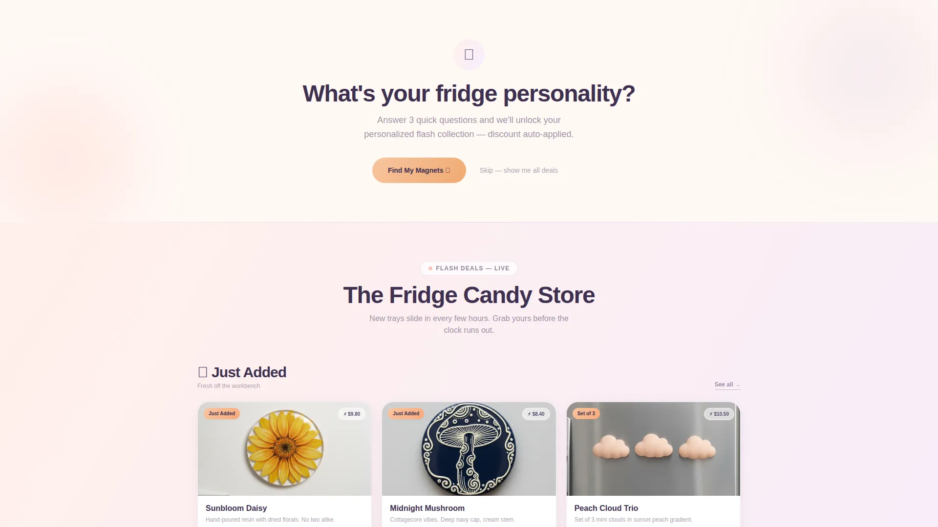 Flash Sale Landing Page for Magnet & Fridge Art Stores