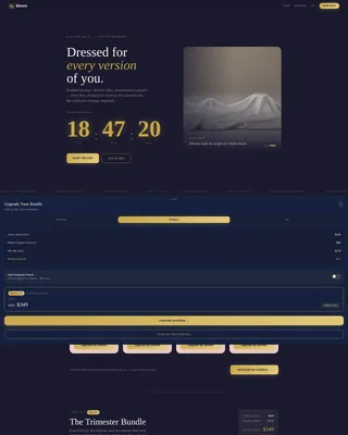 Maternity Landing Page Template | Obsidian & Gold