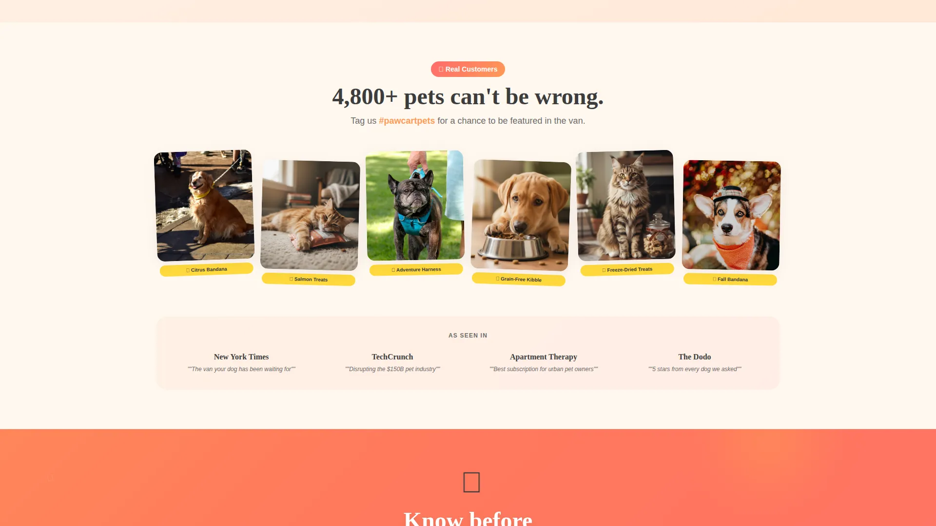 Mobile Pet Shop Bento Grid Landing Page Template