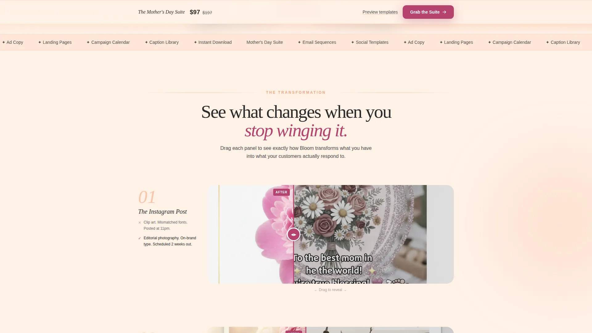 Mother's Day Marketing Landing Page Template