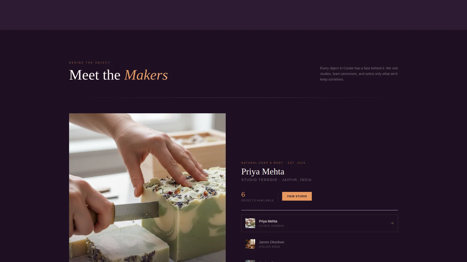 Multivendor Marketplace Landing Page Template