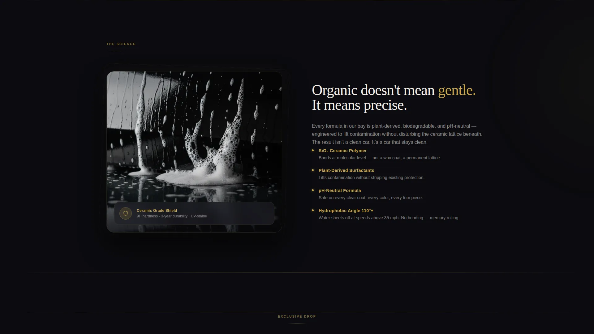 Premium Car Detailing Landing Page Template