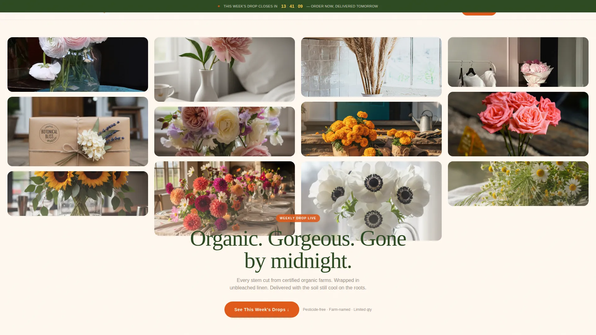 Organic Flower Shop Landing Page Template