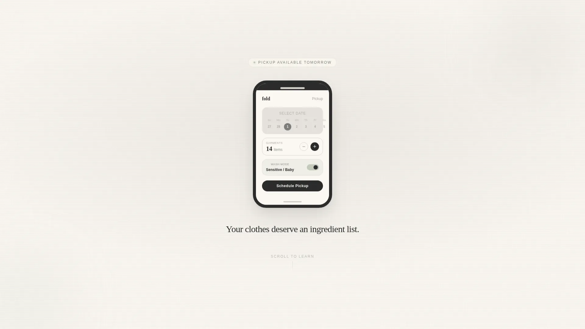 Organic Laundry Pickup Landing Page Template