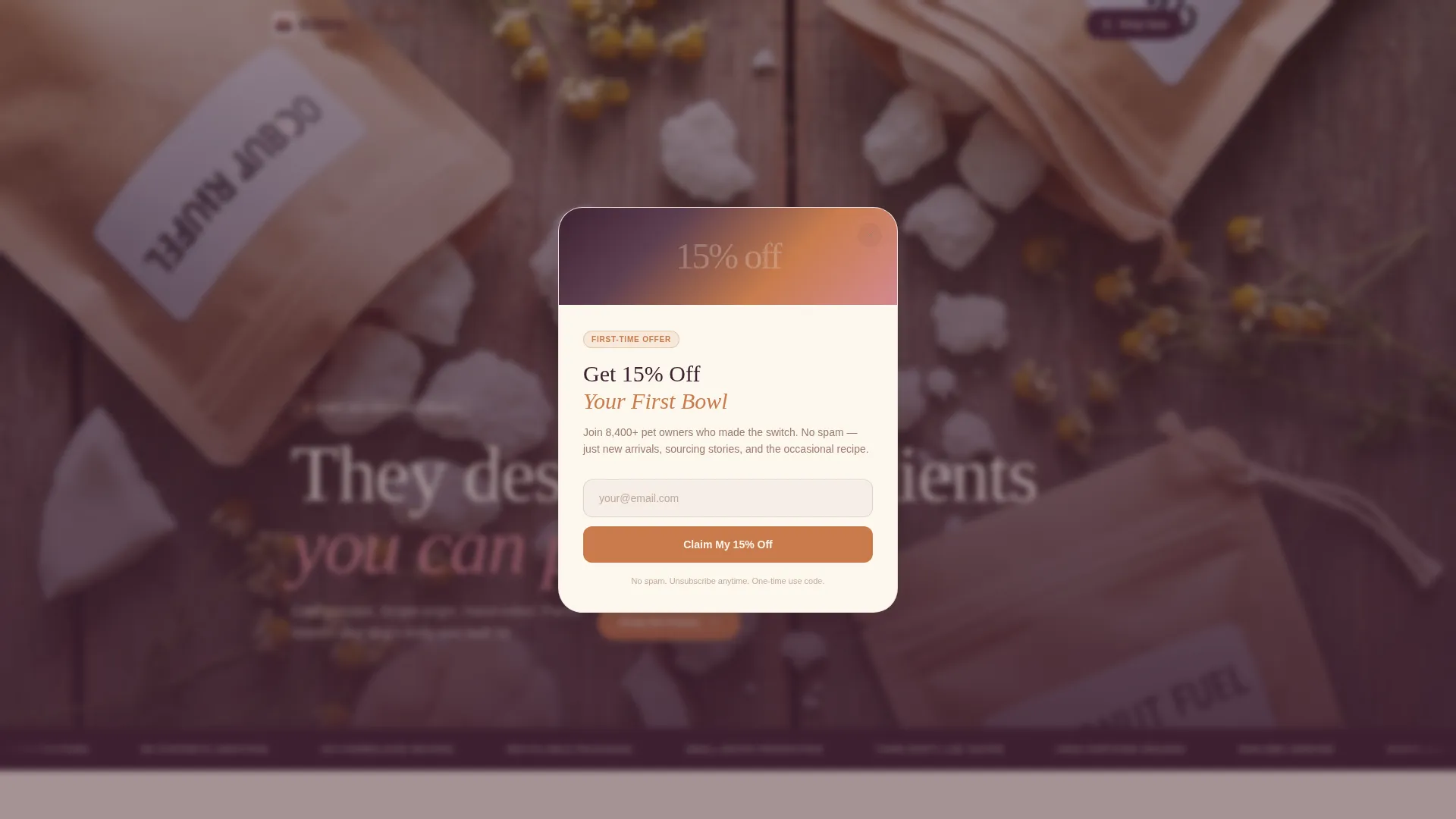Organic Business Blog Website Template