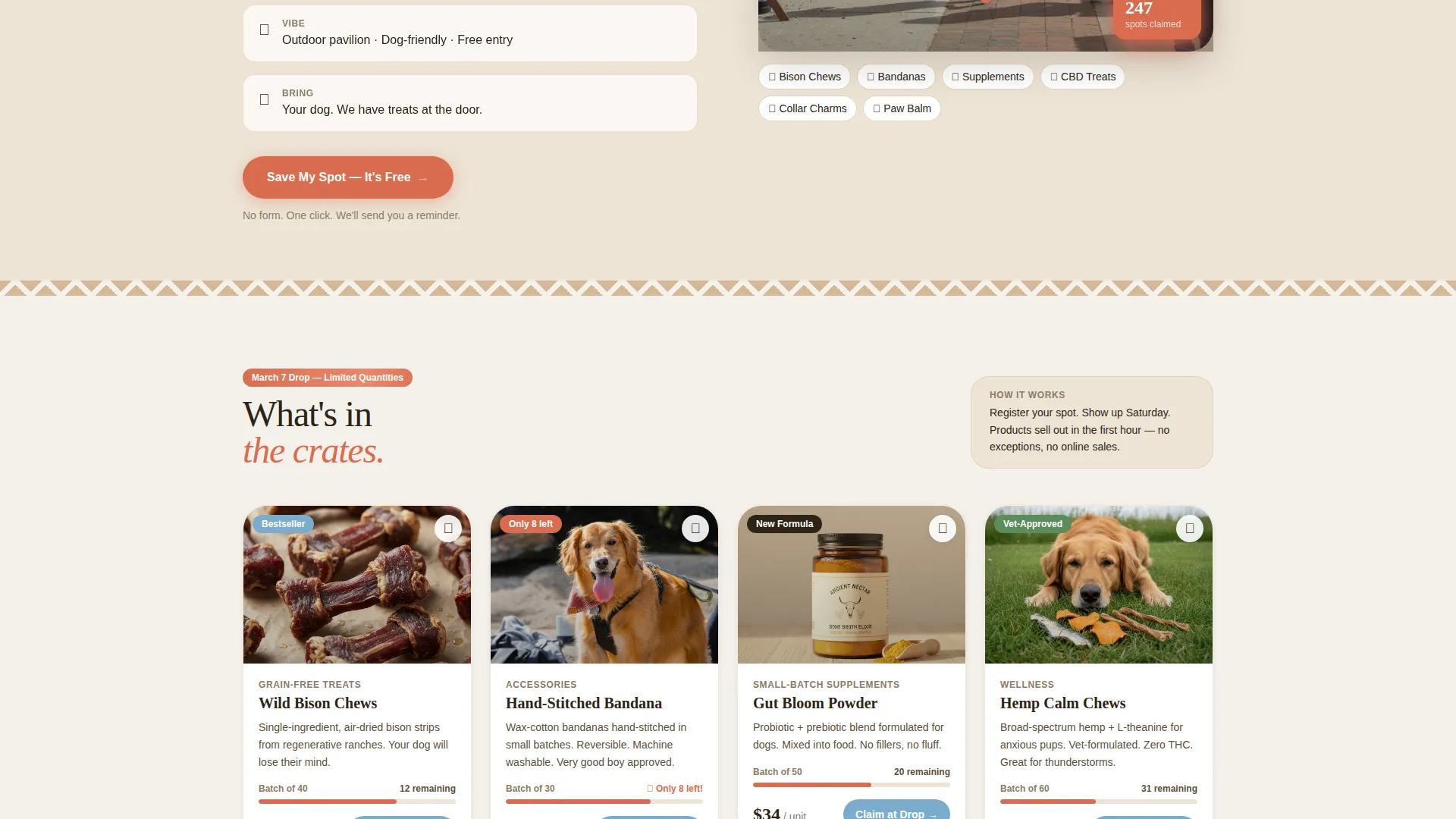 Playful Pop-Up Pet Shop Landing Page Template