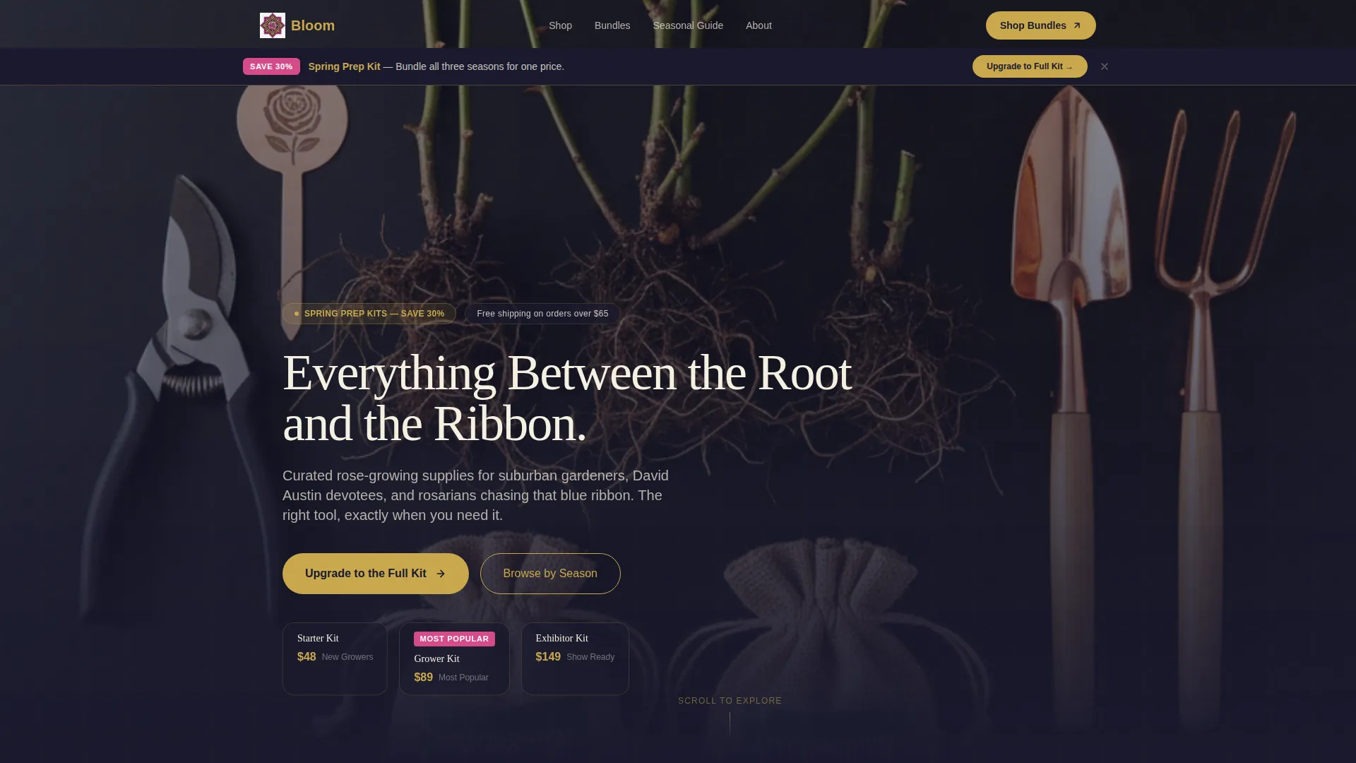 Hobby & Passion Supplies Professional Website Template