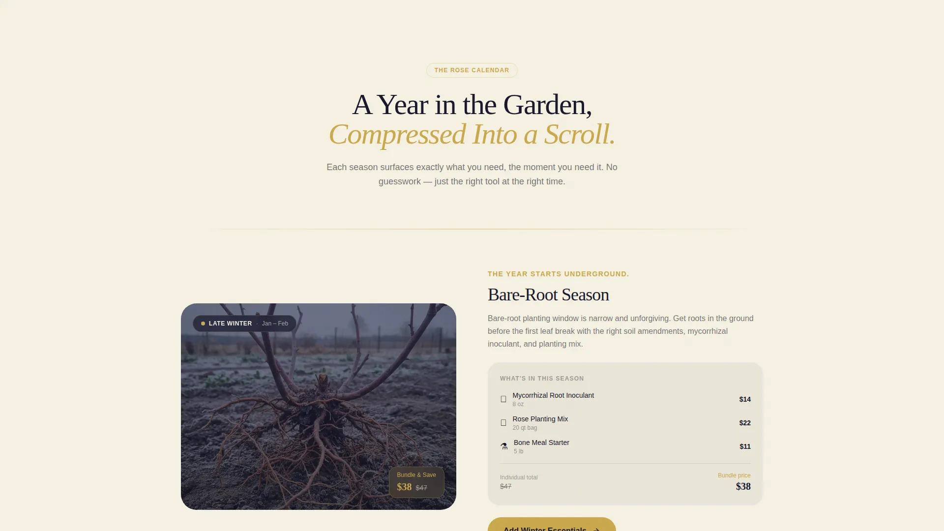 Hobby & Passion Supplies Professional Website Template