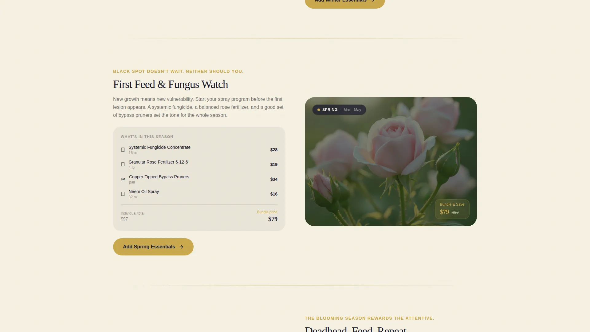 Hobby & Passion Supplies Professional Website Template