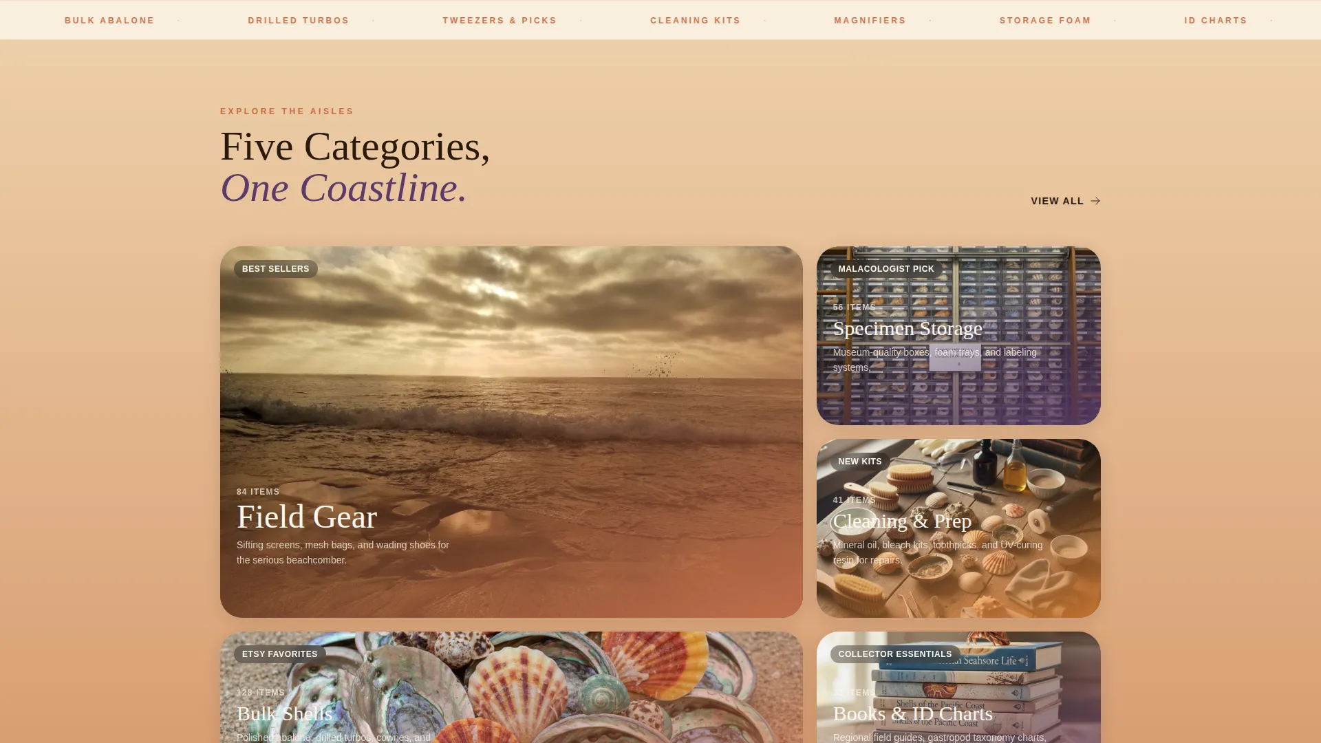 Hobby & Passion Supplies Pre-Launch & Coming Soon Website Template