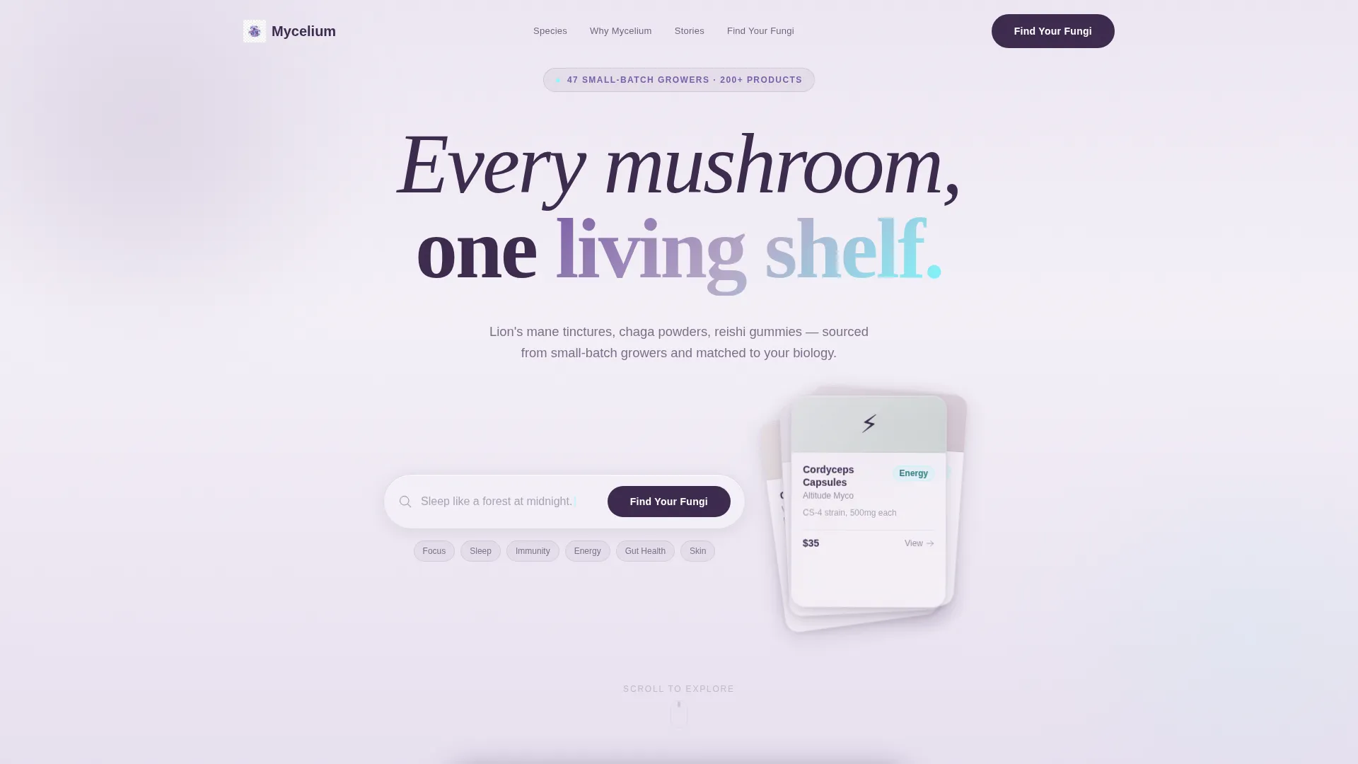 Curated Mushroom Marketplace Landing Page Template