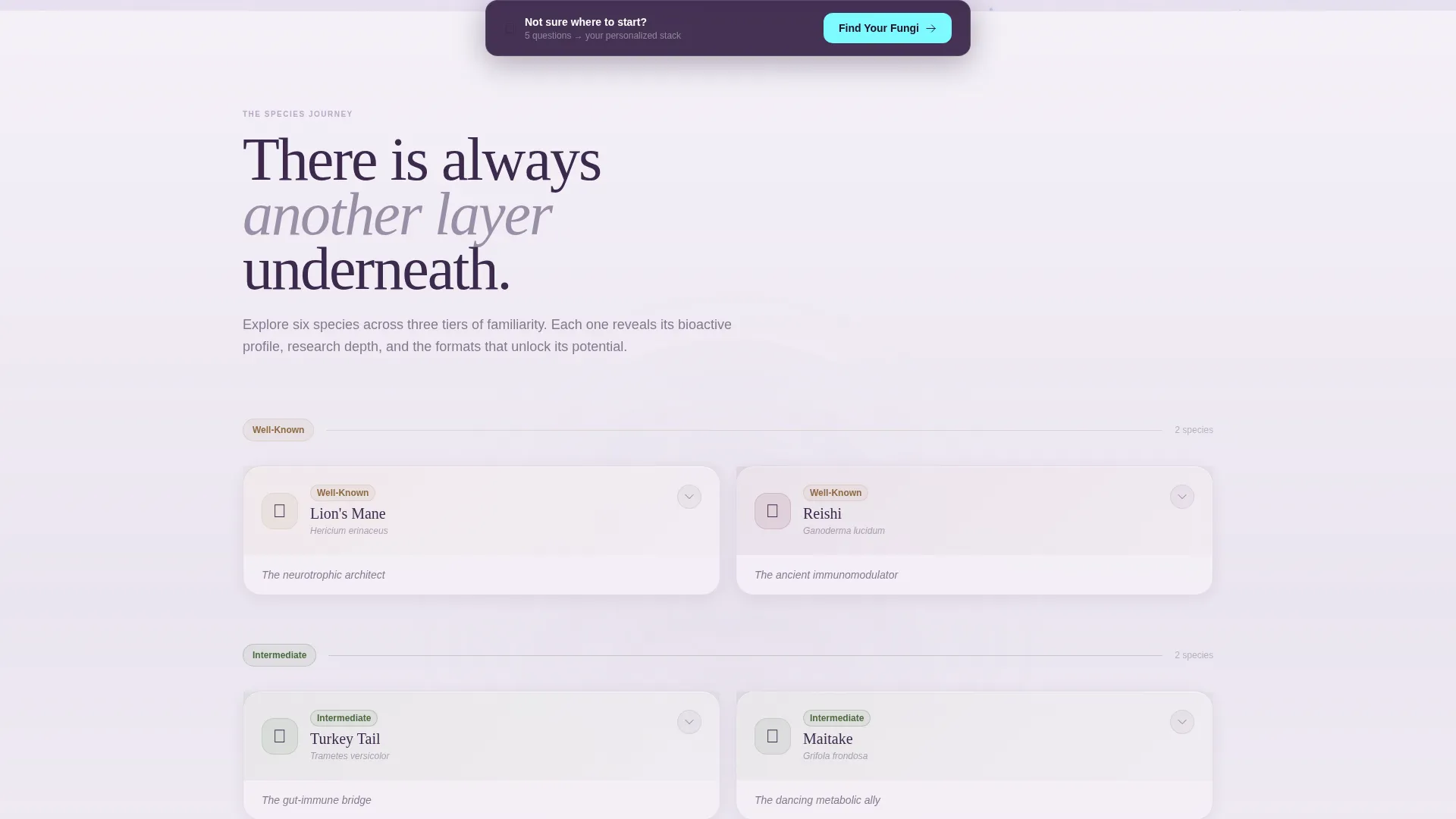 Curated Mushroom Marketplace Landing Page Template