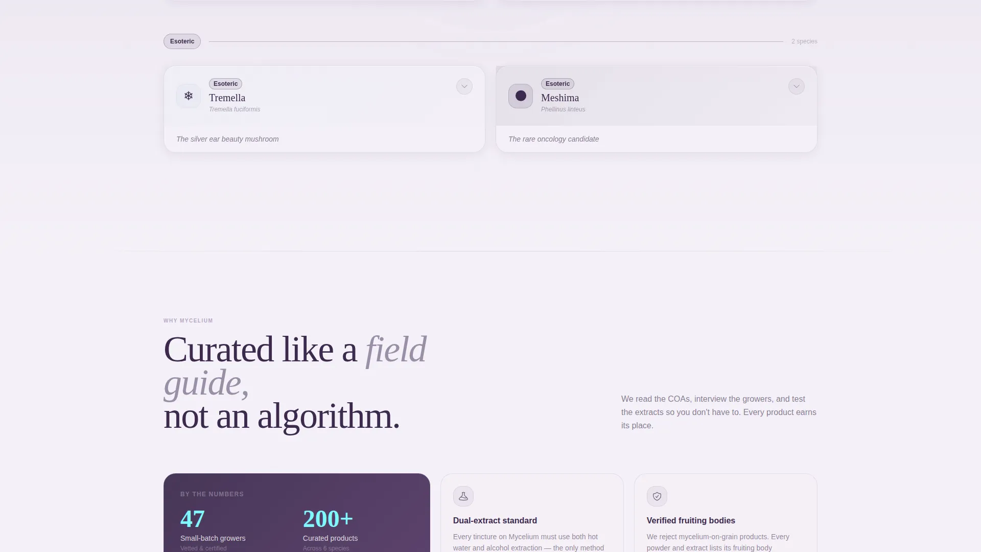 Curated Mushroom Marketplace Landing Page Template