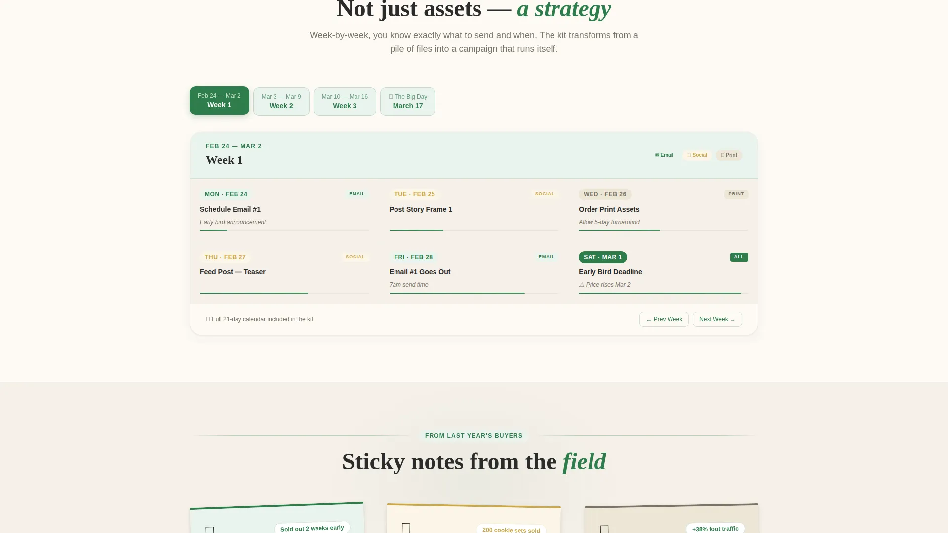 Advanced St. Patrick's Day Business Professional Website Template