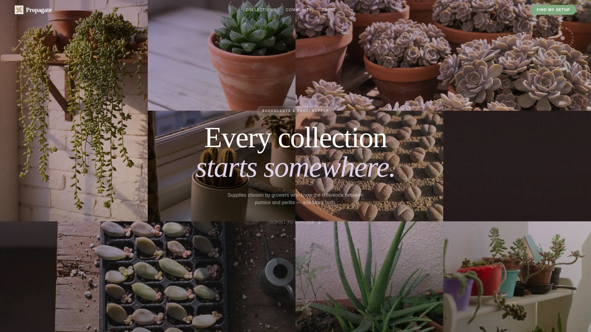 Hobby & Passion Supplies Professional Website Template