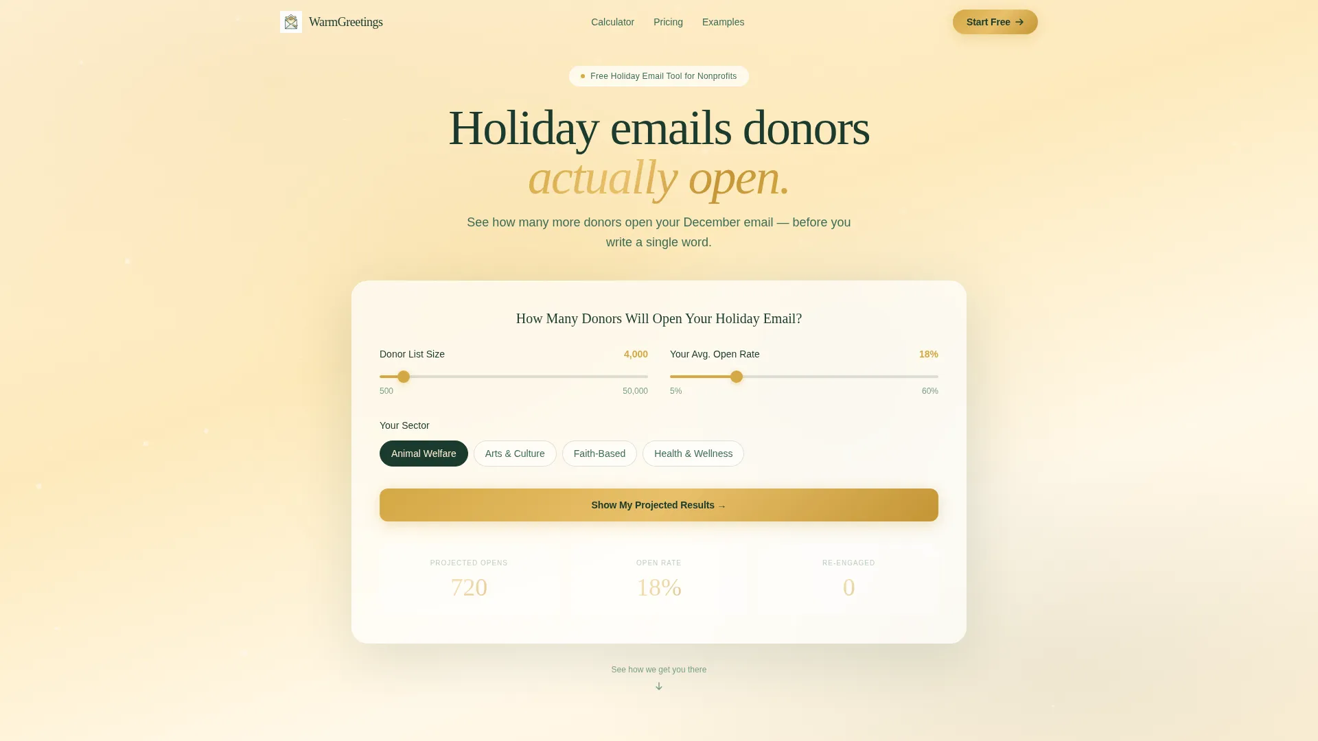 Nonprofit Holiday Email Landing Page Template