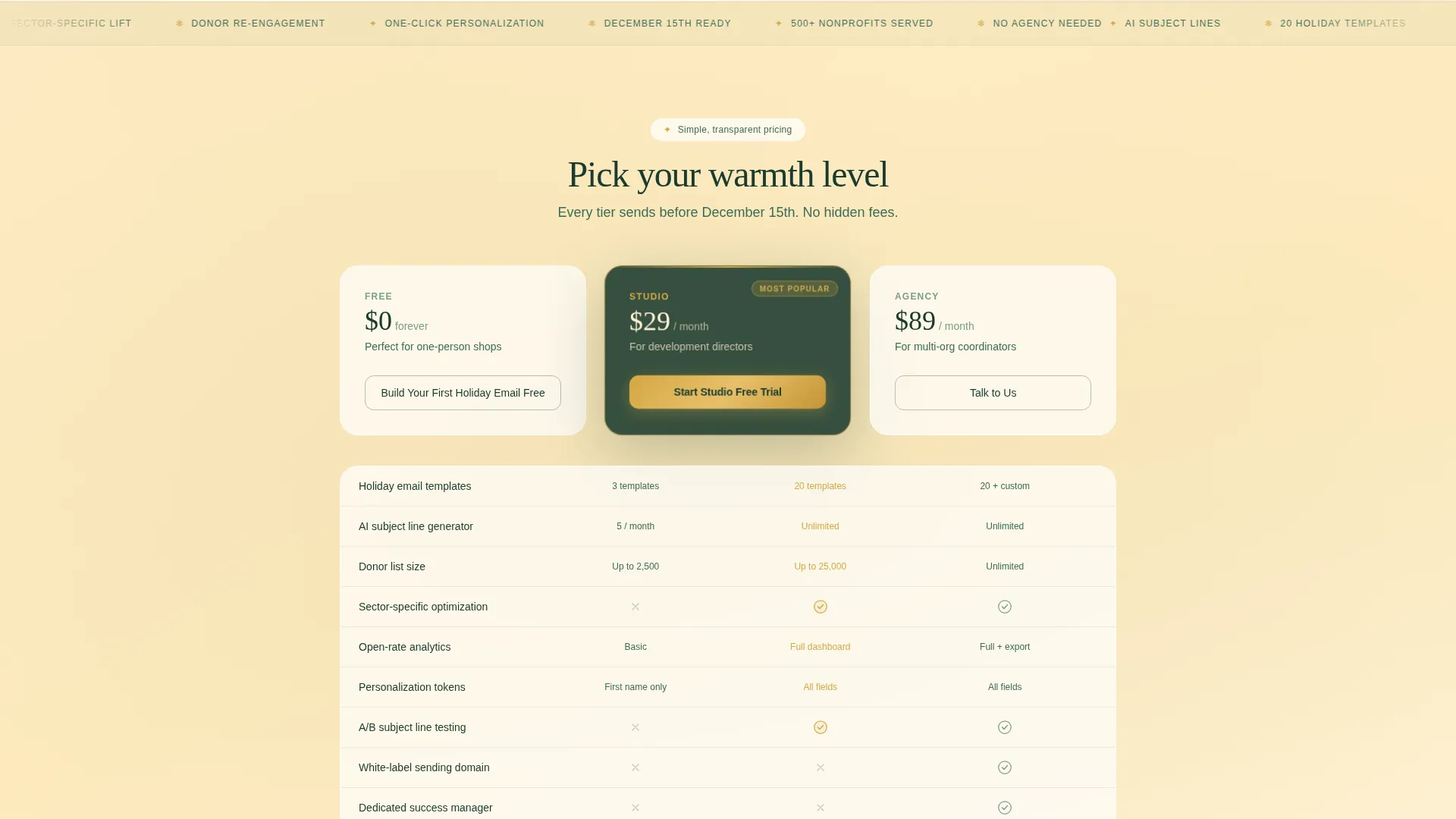 Nonprofit Holiday Email Landing Page Template