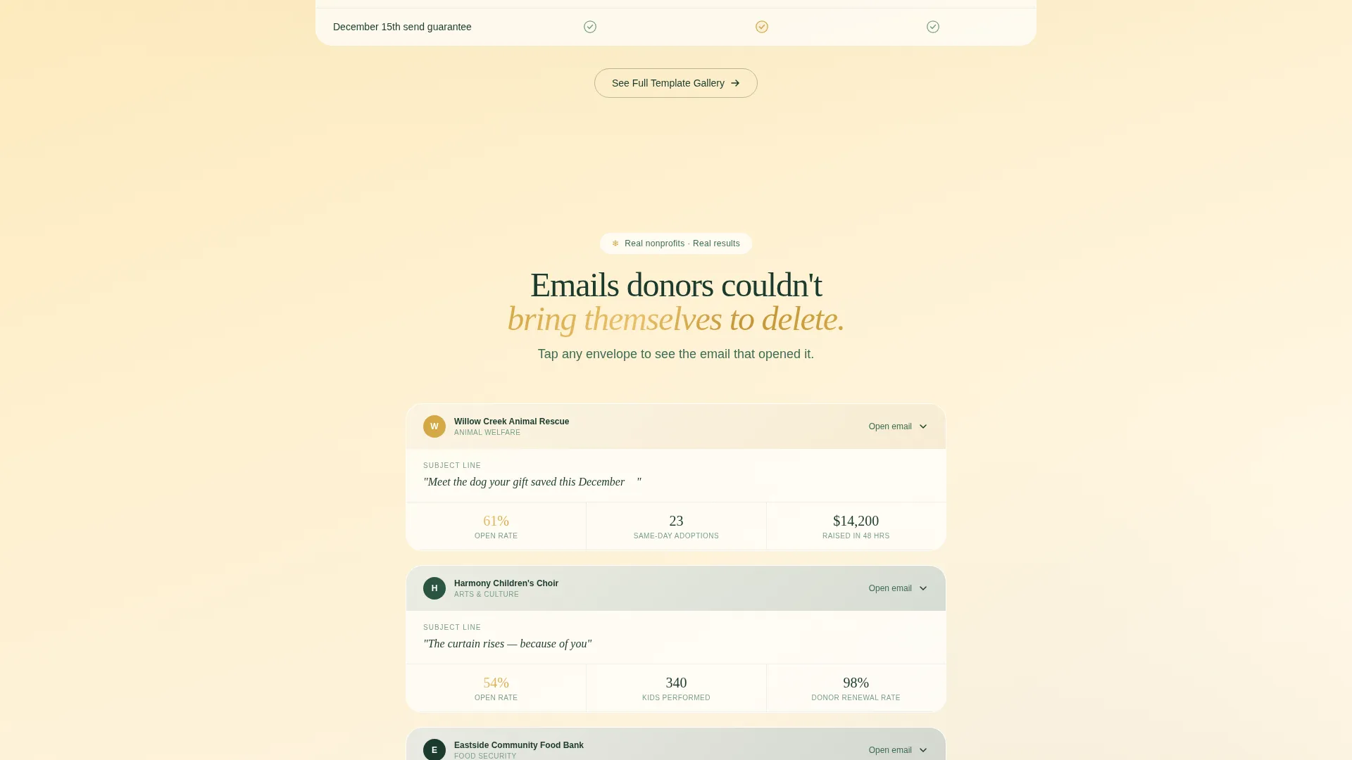 Nonprofit Holiday Email Landing Page Template