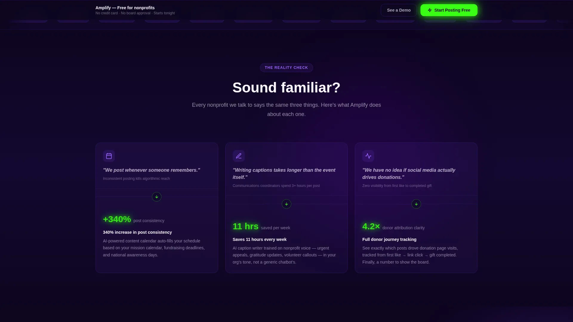 Nonprofit Software Specialist Professional Website Template