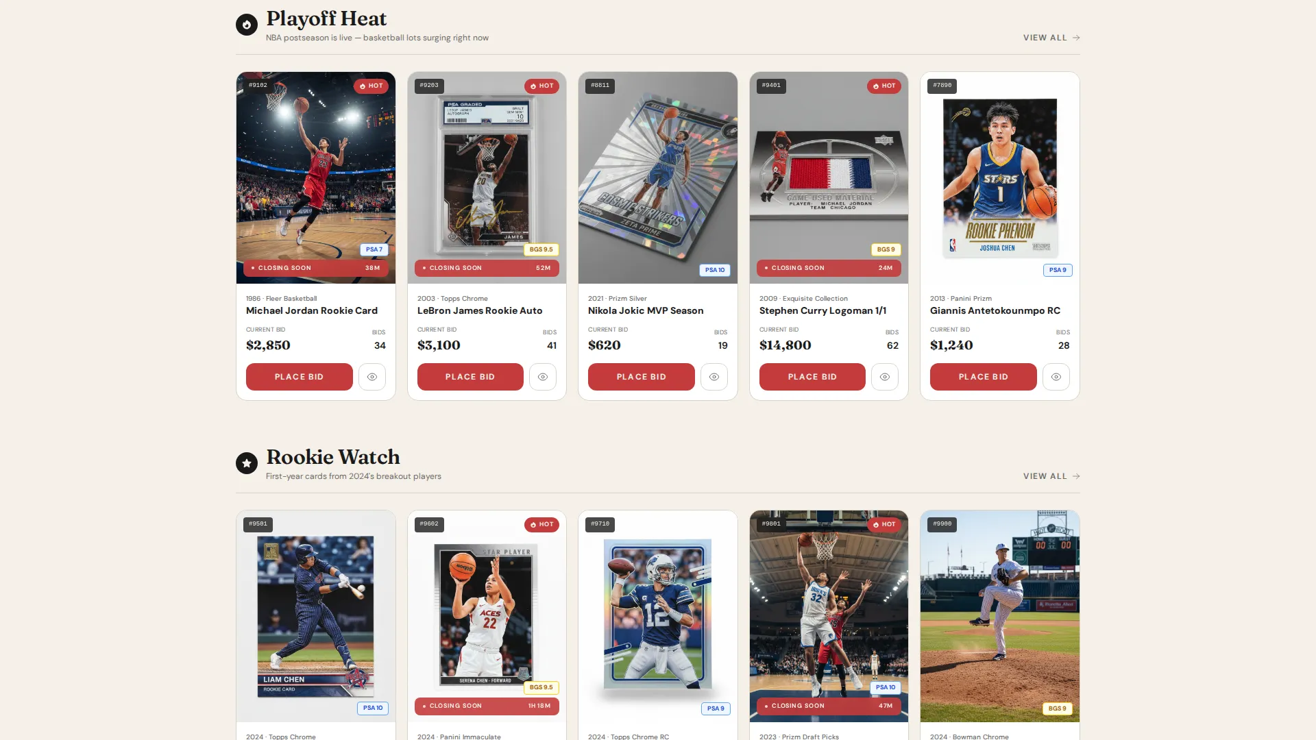 Premium Auction Platforms & Types Professional Website Template