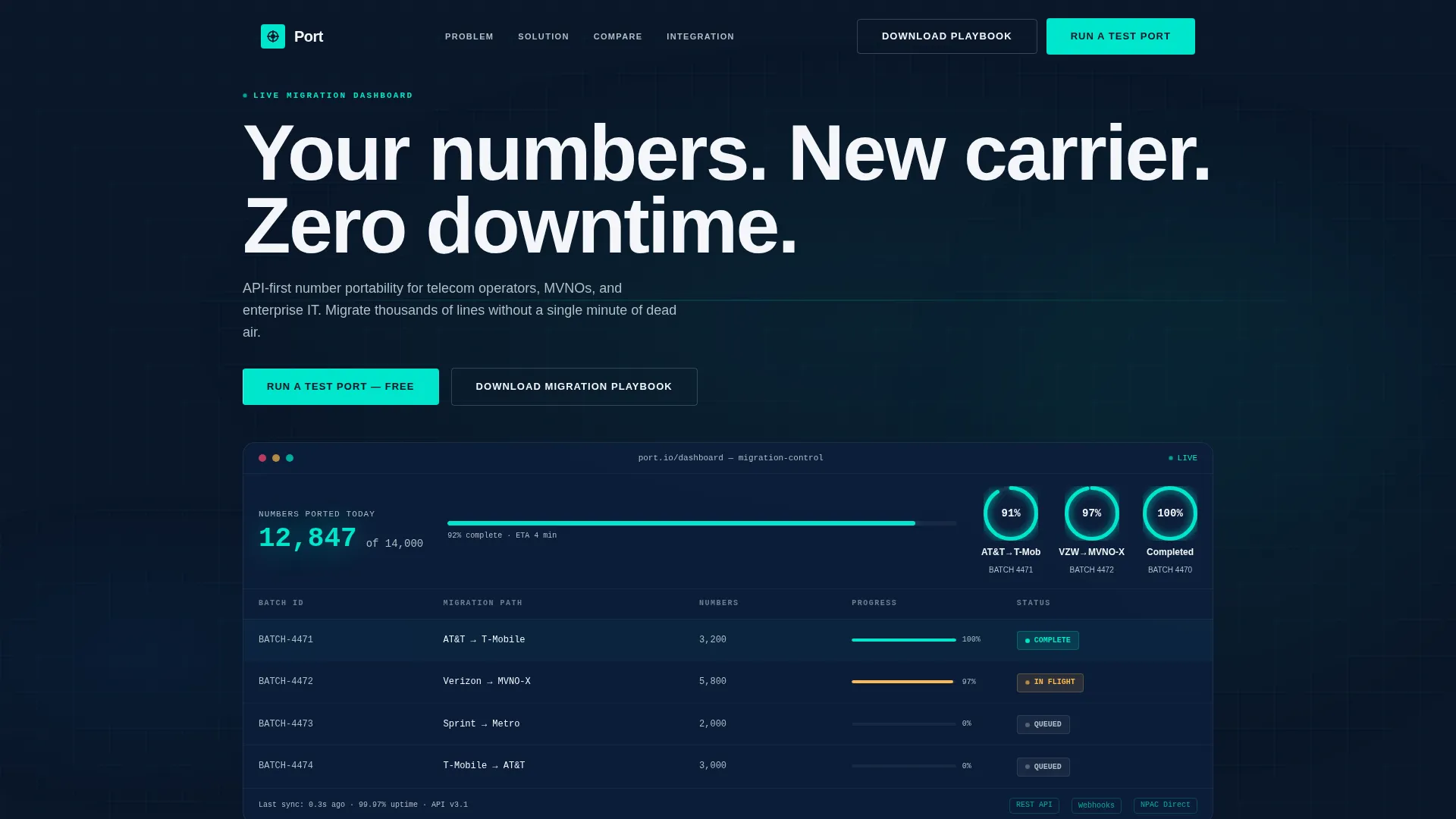Number Portability Service Landing Page Template